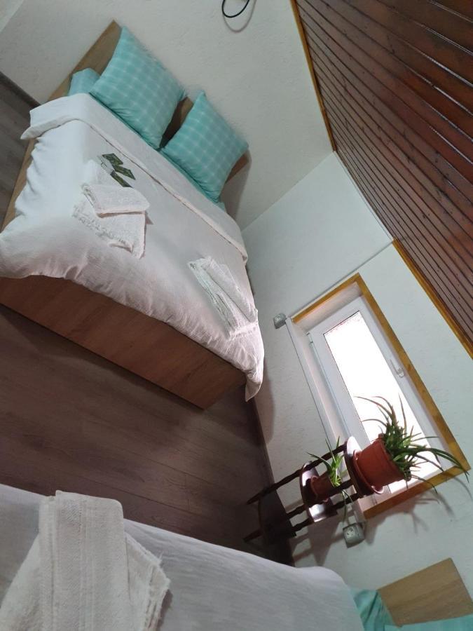Casa Radu Hotell Tulcea Exteriör bild